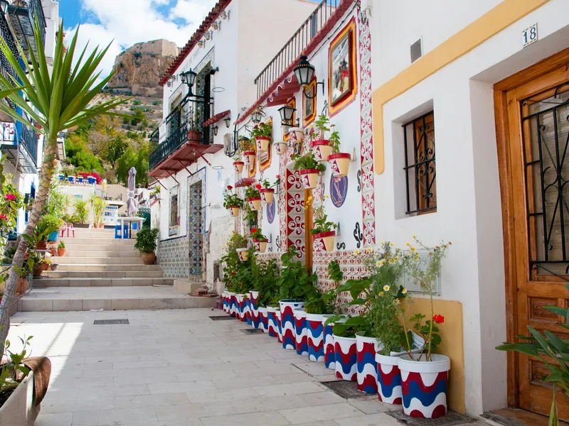Calle estrecha con plantas en macetas junto a un edificio en Alicante